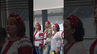 Два кольори Хор Перлина choir livemusic iloveukraine [upl. by Terrag432]