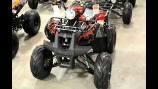 125cc Youth Utility ATV for Kids with free Shipping [upl. by Jamey424]