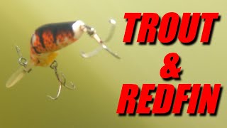 BROWN TROUT amp REDFIN  FRESHWATER HARDBODY LURES [upl. by Asaeret]