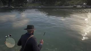 Pêche sans canne à pêche Red Dead Redemption 2 [upl. by Nevek]