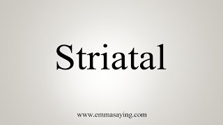 How To Say Striatal [upl. by Llertniuq]