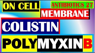 Colistin Polymyxin B Antibiotics Pharmacology Mechanisms Actions Resistance Part 27 [upl. by Judson]