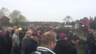 SAJAB auktioner videoklipp från auktionen på Finnö Gård Valdemarsvik 150425 [upl. by Naot]