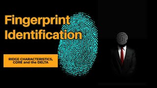 Fingerprint Identification  Personal Identification Techniques [upl. by Thornton]