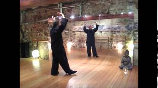 Taiji Qigong Shibashi 5 Set Qigong BadenBaden [upl. by Zorah]