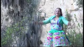 CLAVELINA DE VILCASHUAMAN 2016 GITANA ARPA Y VIOLIN SUR [upl. by Llerehs449]