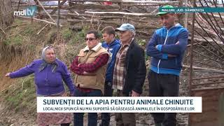 SUBVENTII DE LA APIA PENTRU ANIMALE CHINUITE YOUTUBE [upl. by Brunelle]