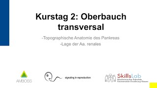 Vorklinischer Sonographie Kurs 2 Oberbauch transversal [upl. by Metcalf836]