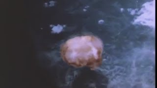 Rare footage of Nagasaki atomic bombing [upl. by Saxen711]