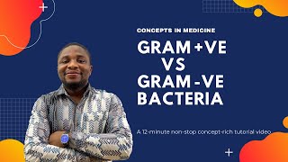 Gram Positive ve vs Gram Negative ve Bacteria [upl. by Nonez]