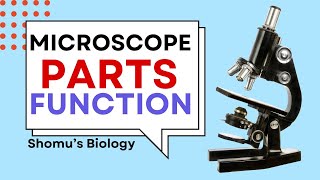 Microscope parts and functions in Hindi  Parts of a microscope [upl. by O'Neil]