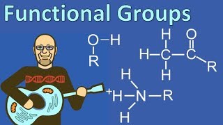 Functional Groups [upl. by Verlie523]