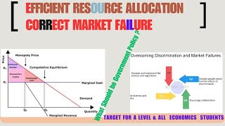 Government Policies to Achieve Efficient Resource Allocation and Correct Market Failure [upl. by Leahcimed]