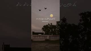 Kuch Shamen Aise Dhalti Hain Ki✨ Urdu Shayari  Urdu Poetry  Parizaad Shayari shotrs [upl. by Aisat464]