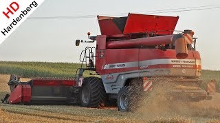 Harvesting wheat  Massey Ferguson 9895  Tarwe dorsen  Getreideernte  Immighausen  2018 [upl. by Pinzler]