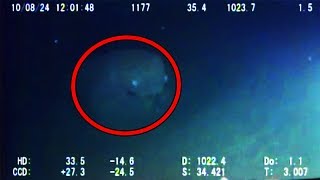 12 Mysterious Underwater Creatures Caught on Tape [upl. by Olnay220]