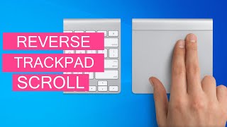 How To Reverse Touchpad Scrolling In Windows 10 Bootcamp OS [upl. by Koziara]