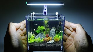 The Worlds Smallest Plant Aquarium 1 [upl. by Theo434]