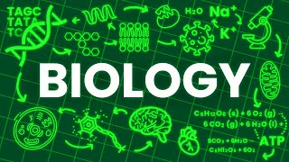 ALL OF BIOLOGY explained in 17 Minutes [upl. by Atnoved]