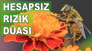 HESAPSIZ RIZIK DUASI  Çok etkili Rızık ve Bereket duası  Günlük Dualar  Göktuğ Tv [upl. by Irab]