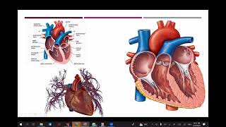 CONTRAST MEDIA  Introduction to Radiographic Contrast Media  BARIUM AND IODINE CONTRAST AGENTS [upl. by Adlanor]