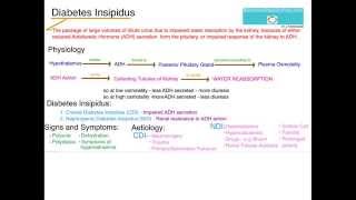 Understanding Diabetes Insipidus [upl. by Elleb497]