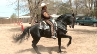 Ramiro Perez Dancing Horses [upl. by Yrtnej]