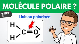 Liaison polarisée et molécule polaire ✏️ Exercice  1ère  Chimie [upl. by Adlee]