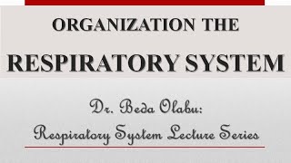 RESPIRATORY SYSTEM PART 2  CHEST WALL MECHANISMS OF VENTILATION GAS TRASNSPORT amp MALFORMATIONS [upl. by Oira774]