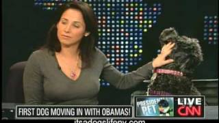 Cesar Millan and Pet Expert Elena Gretch CPDT on Larry King Live [upl. by Nicole]