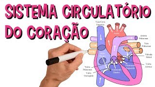 ✅ SISTEMA CARDIOVASCULAR  SISTEMA CIRCULATÓRIO DO CORAÇÃO [upl. by Kenon370]