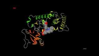 Cytochrome P450 1A2 wrapping of heme and polycyclic aromatic hydrocarbon [upl. by Avelin]