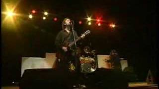 38 Special Live  Sturgis  If Id Been The One [upl. by Court181]