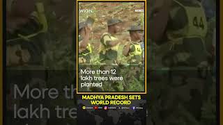 Indias MP sets world record of planting over 11 lakh saplings in a day  WION Shorts [upl. by Bevin579]