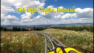 Alpine Coaster Bob Alpin Toplita Romania 4K [upl. by Einaoj]