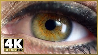 10 Incredible 4K Ultra HD Videos [upl. by Anival508]