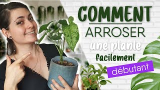 COMMENT ARROSER SES PLANTES DINTÉRIEUR  🌿 [upl. by Schenck647]