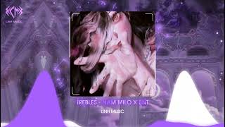 Trebles  Nam Milo x BNT  Nhạc Remix Hot Tik Tok [upl. by Nitz]