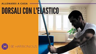 3 esercizi per i DORSALI con l’ELASTICO  Allenamento a casa  2 Livello semplice [upl. by Spencer926]