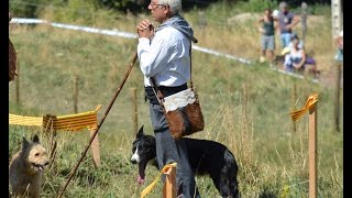 Concurso de Perros Pastores en Castellar de n´Hug 54a edición 2016 [upl. by Rowan]