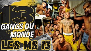 GANGS DU MONDE  LES MS 13  Prison MaraSalvatrucha Maras Trafic Deal Latino Cartel Cocaïne [upl. by Annasoh963]