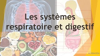 Les systèmes respiratoire et digestif [upl. by Drhcir]