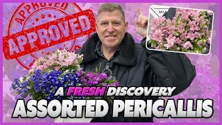 JFTV A Fresh Discovery PERICALLIS with Mike [upl. by Narayan]