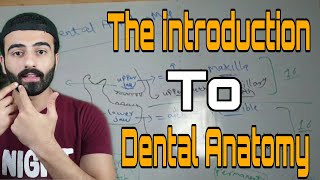 The introduction to dental anatomy quotnewquot  20202021 [upl. by Waddle]