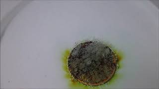 Coin in peracetic acid reaction [upl. by Allesig]