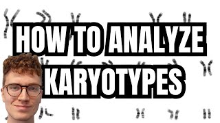 KARYOTYPE ANALYSIS [upl. by Audri792]