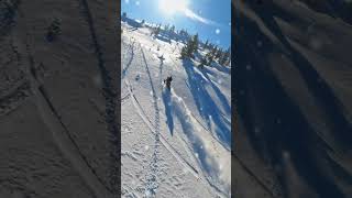 Want the BEST Skiing Experience in Utah Watch This Now [upl. by Rehpotsyrhc]