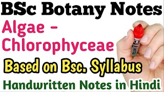 Algae Chlorophyceae BSc Botany handwritten notes in hindi [upl. by Hecklau477]