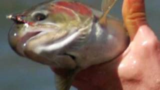 Fly Fishing for Grande Ronde River Steelhead 2010 [upl. by Wilmott]