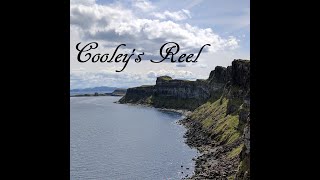 Cooleys Reel  Best of Irish and Celtic Music [upl. by Yllib]